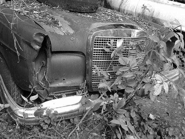 Autofriedhof - 149.JPG - Historischer Autofriedhof,    Gürbetal (CH)